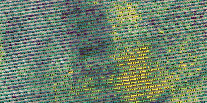 Grower Portal Portal