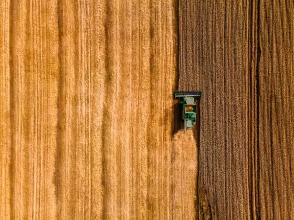 Agriculture
