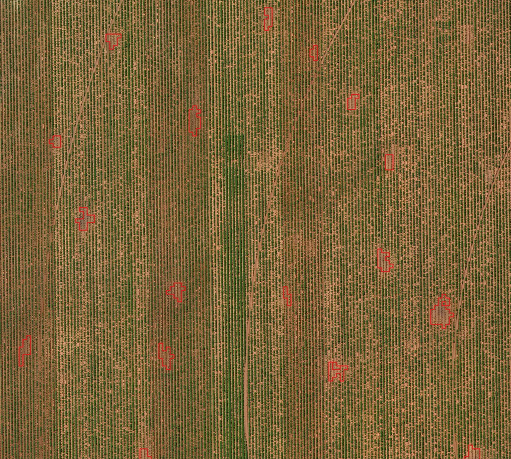 Potato Disease Mapping Image