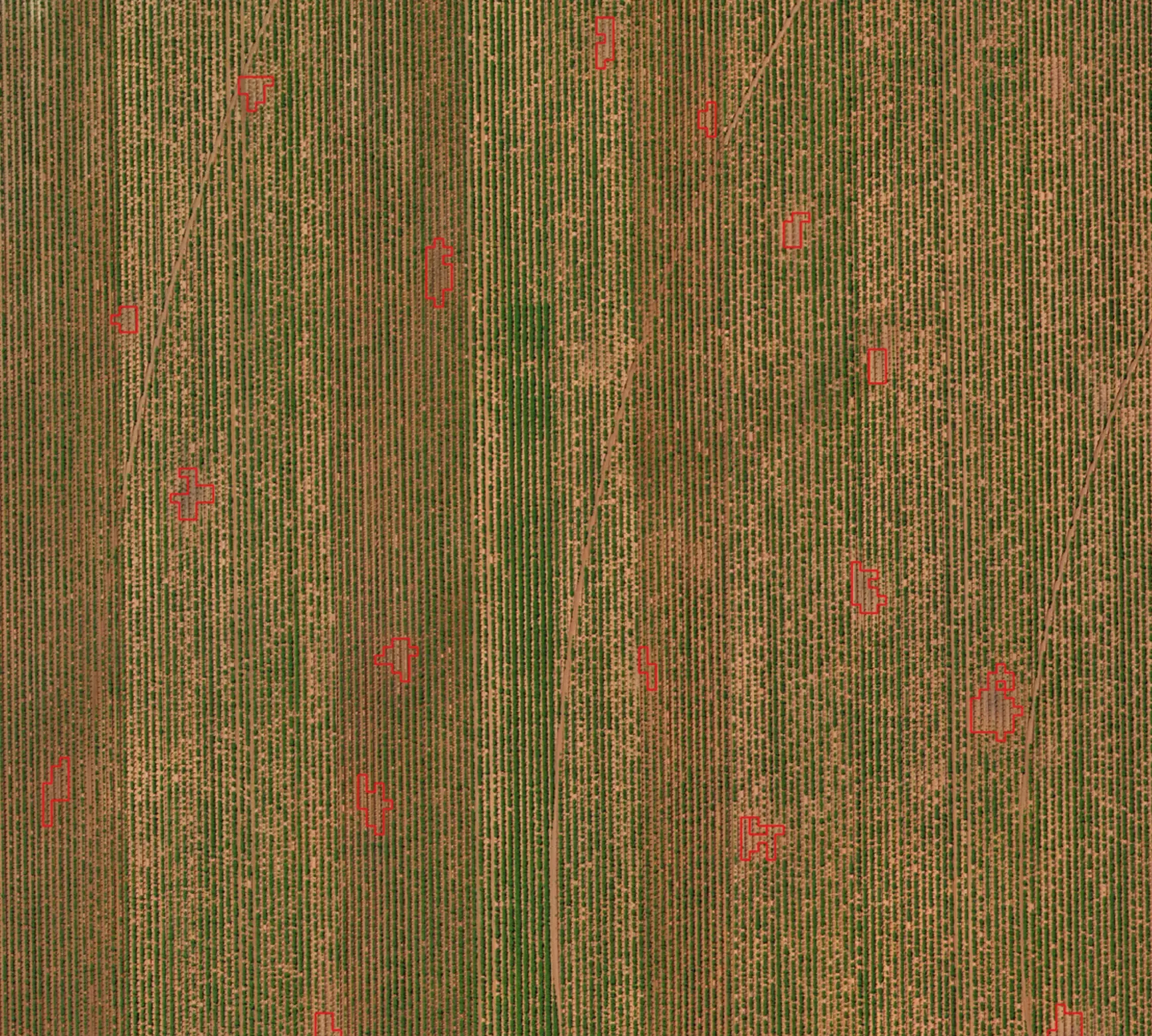 Potato Disease Mapping Image