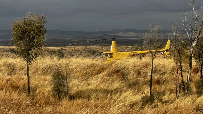 Carbon Farming & Natural Capital